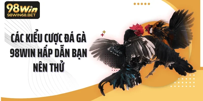 Các kiểu cược đá gà 98WIN hấp dẫn bạn nên thử