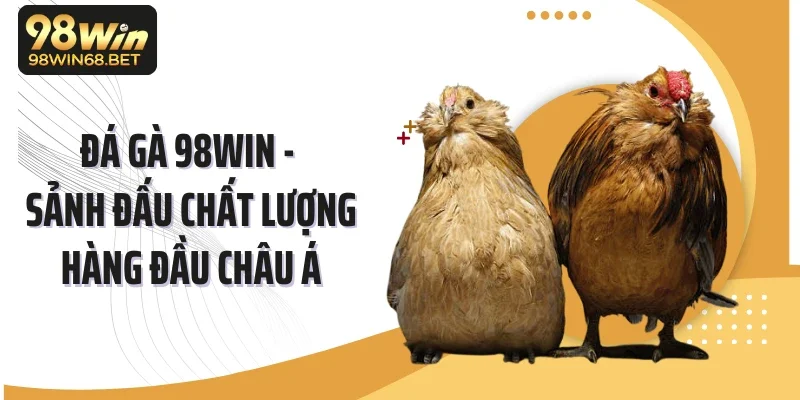 Đá Gà 98win - Sảnh Đấu Chất Lượng Hàng Đầu Châu Á