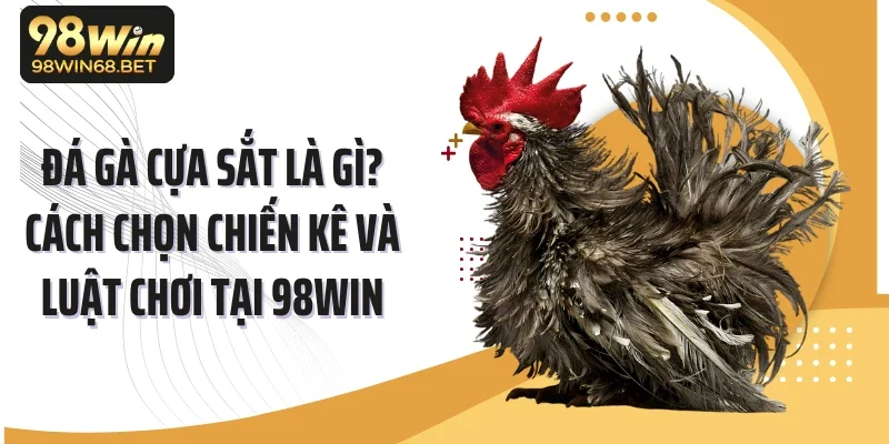 Đá Gà Cựa Sắt Là Gì? Cách Chọn Chiến Kê Và Luật Chơi Tại 98win