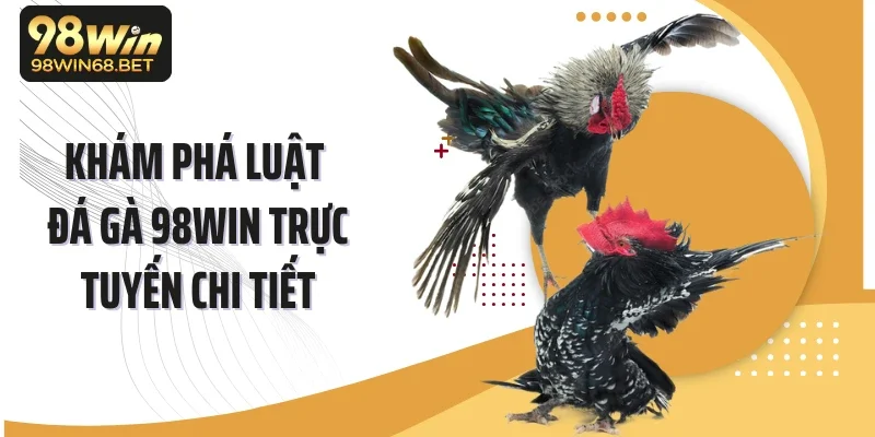 Khám phá luật đá gà 98WIN trực tuyến chi tiết