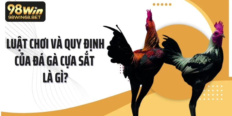 Luật chơi và quy định của đá gà cựa sắt là gì?