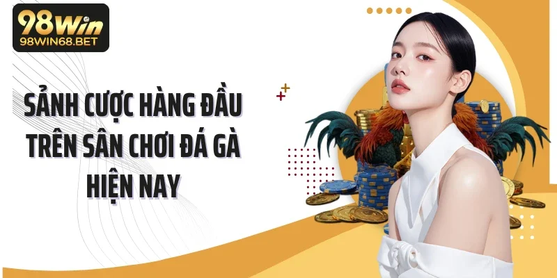Sảnh cược hàng đầu trên sân chơi đá gà hiện nay