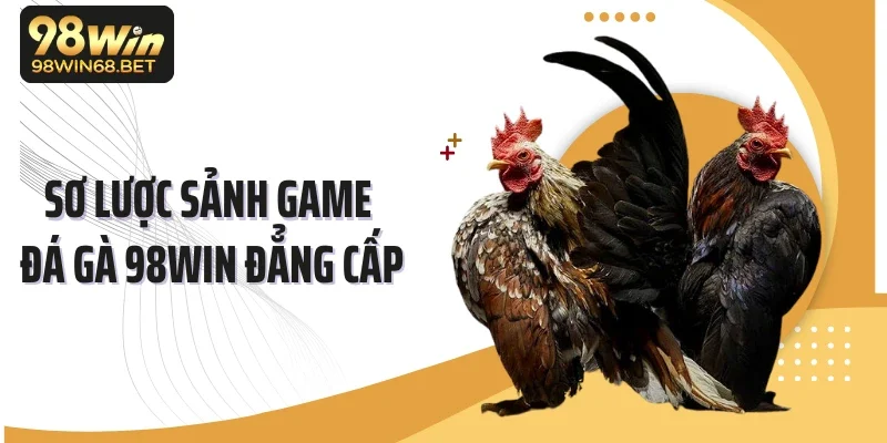 Sơ lược sảnh game đá gà 98WIN đẳng cấp