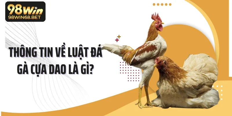 Thông tin về luật đá gà cựa dao là gì?